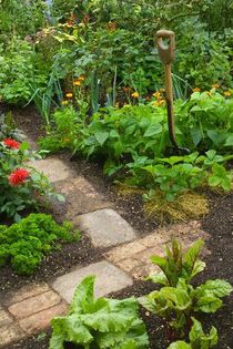 imbinarea_gradini_de_legume_cu_cea_de_flori - idei interesante culese de pe net A