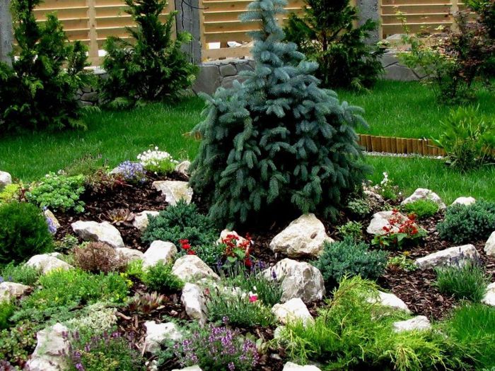 IMG_3105 - idei interesante culese de pe net A