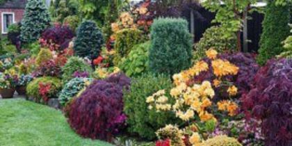 img-gradina-flori-gradini-cu-flori-gradina-primavara-gradina-toamna-iarna-270x135 - idei interesante culese de pe net A