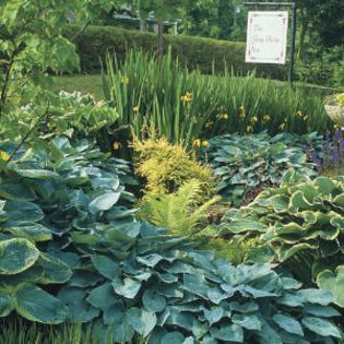 john-hearty-garden-m - idei interesante culese de pe net A