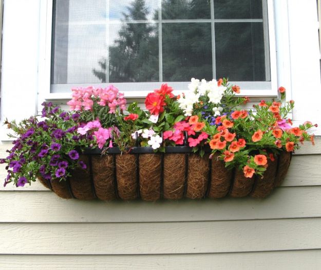 windowbox-2010-1024x859 - idei interesante culese de pe net A