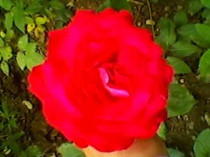 027