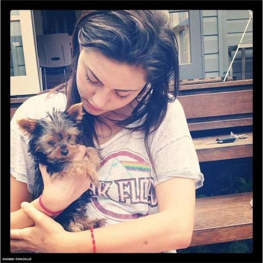 Weba elena! L-ai stropit si pe Martipan, Stef*arunca cu bere in el*