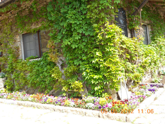 intrare in gradina reginei BALCIC