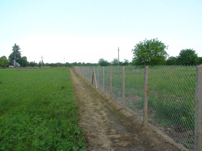 DSC03379 - 9 - GARD