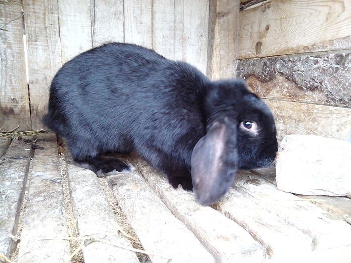 IMG_20140313_170616_2