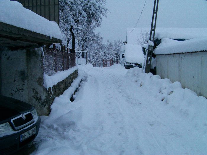 IMAG0601 - Poze iarna2014