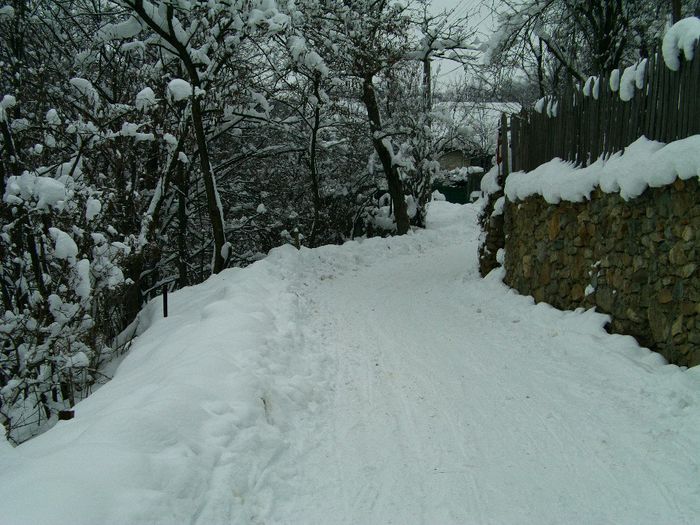 IMAG0677