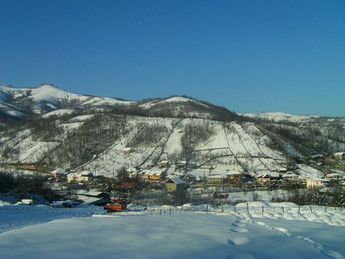 IMAG0523