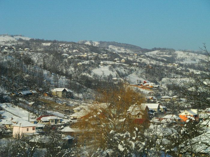 IMAG0527