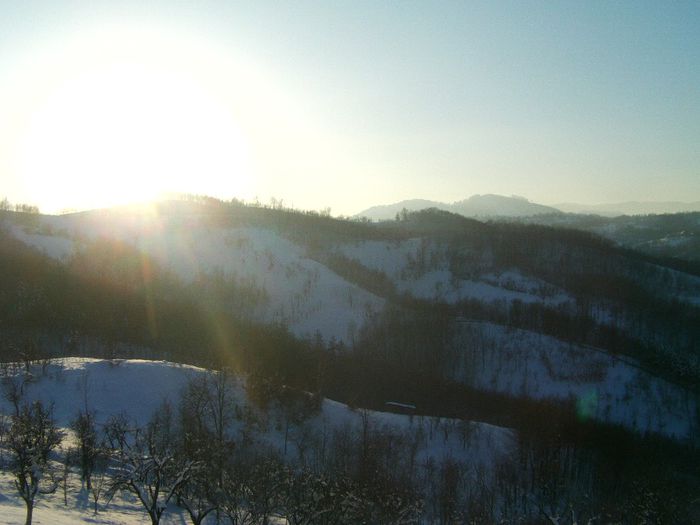 IMAG0539