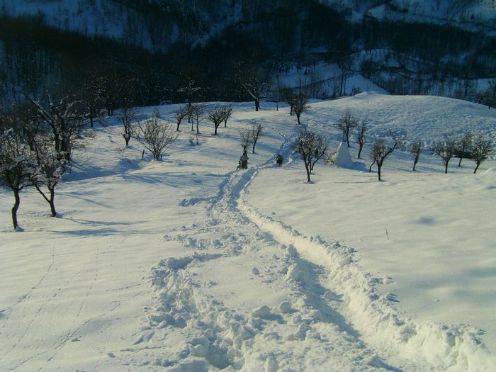 IMAG0540