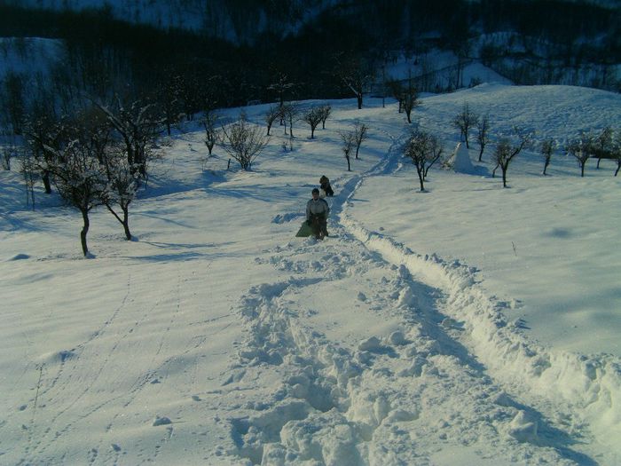 IMAG0541