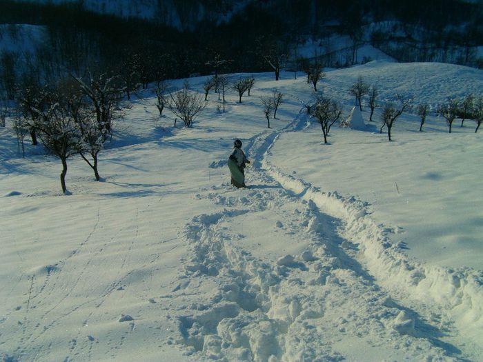 IMAG0542