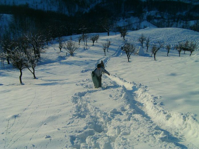 IMAG0544