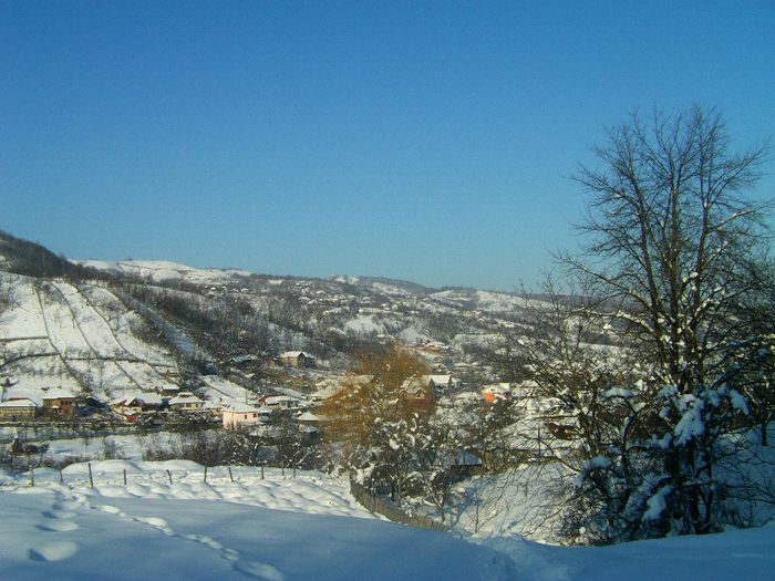 IMAG0526