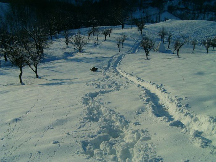 IMAG0535