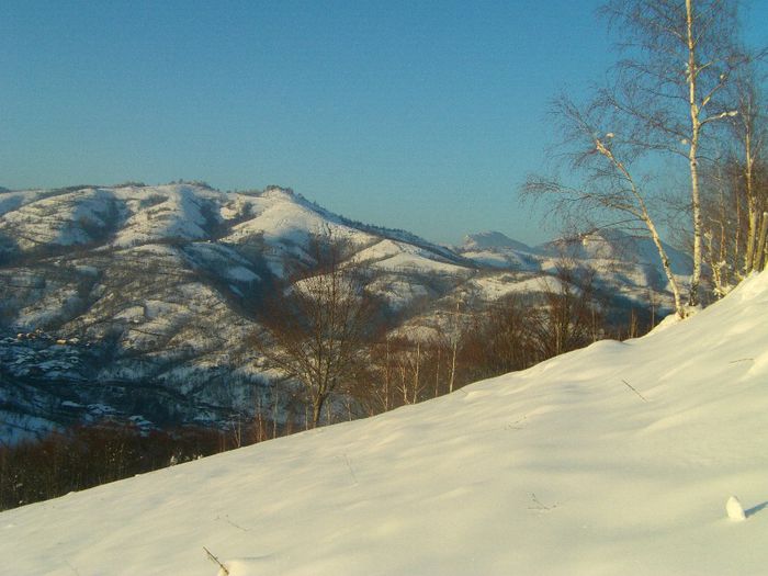 IMAG0538