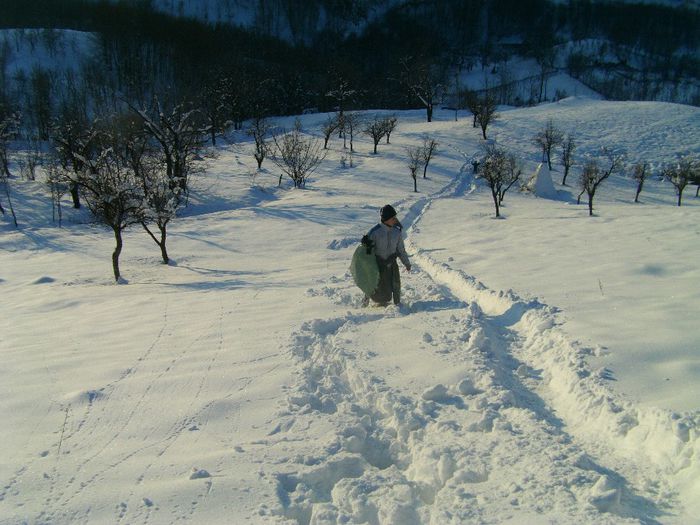 IMAG0543