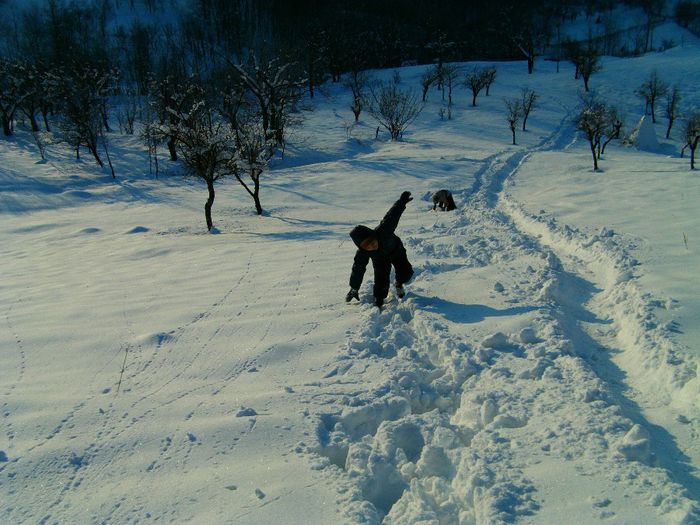 IMAG0554