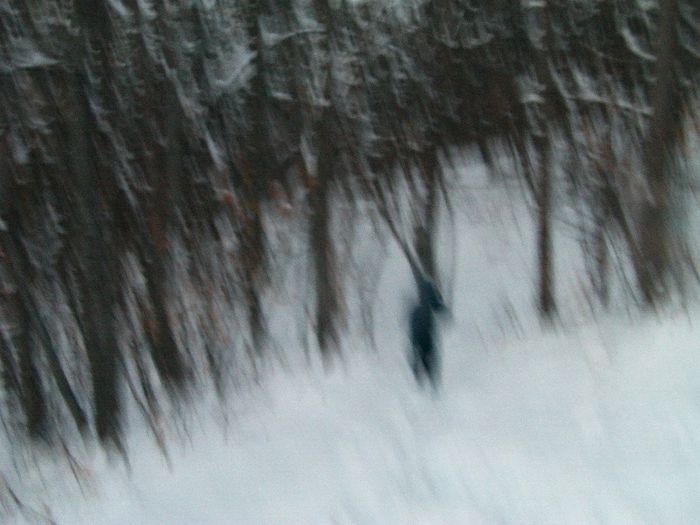 IMAG0575