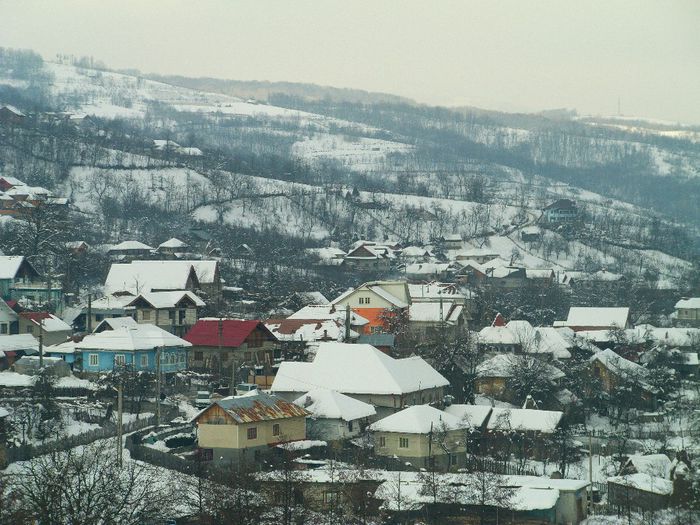 IMAG0577