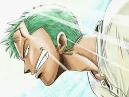 images (1) - Zoro-One Piece