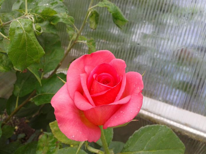 20140607_155406