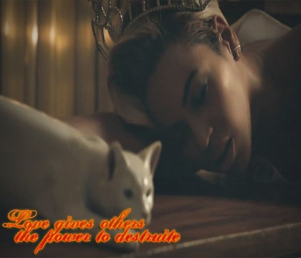  - We Have Confident-CONTACT US