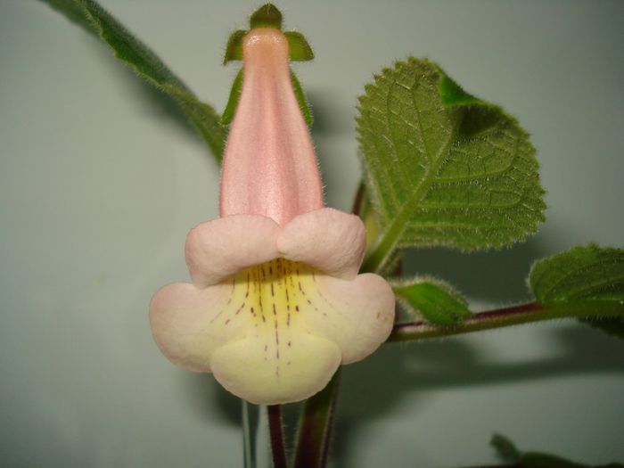 DSC09320