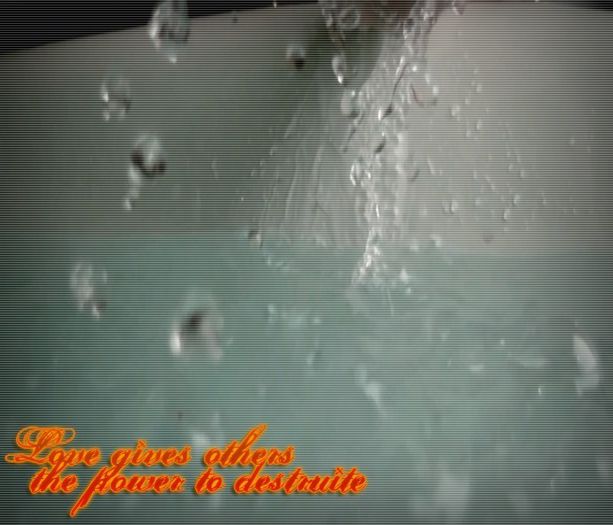 ;; Jason , in schimb o are pe sora lui care mno il; intelege pentru spre deosebire de restul ea s-a interesat de povestea lui ,at least its his brother ; even though its Justin`s brother too .
