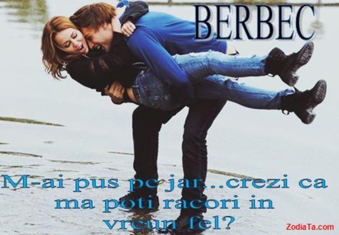 ViolettaOrder - berbec - Tu spui zodia eu pun poza --- joculet