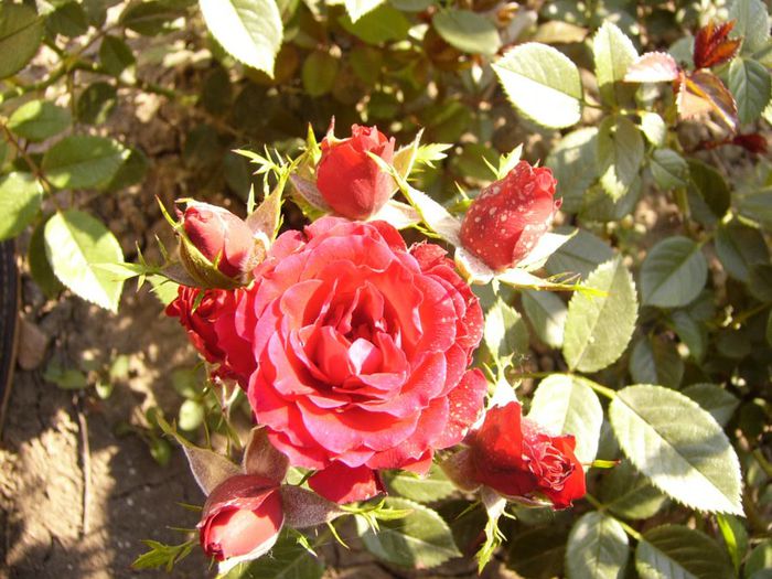 P1220380