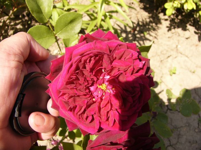 P1220430