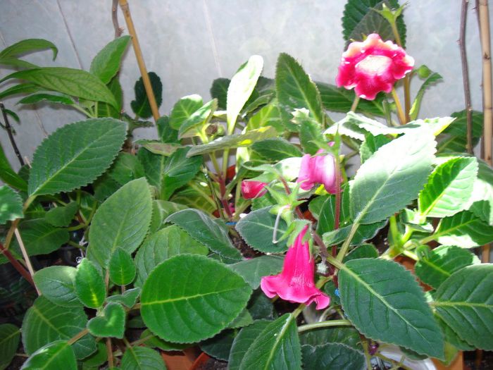 DSC09408