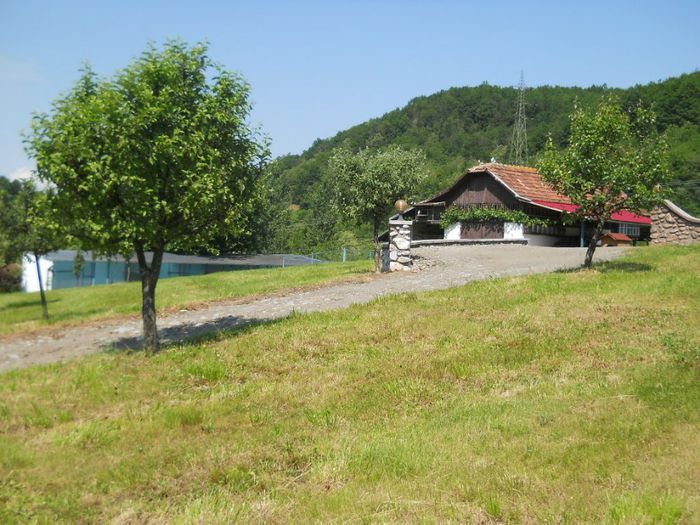 061 - Livada