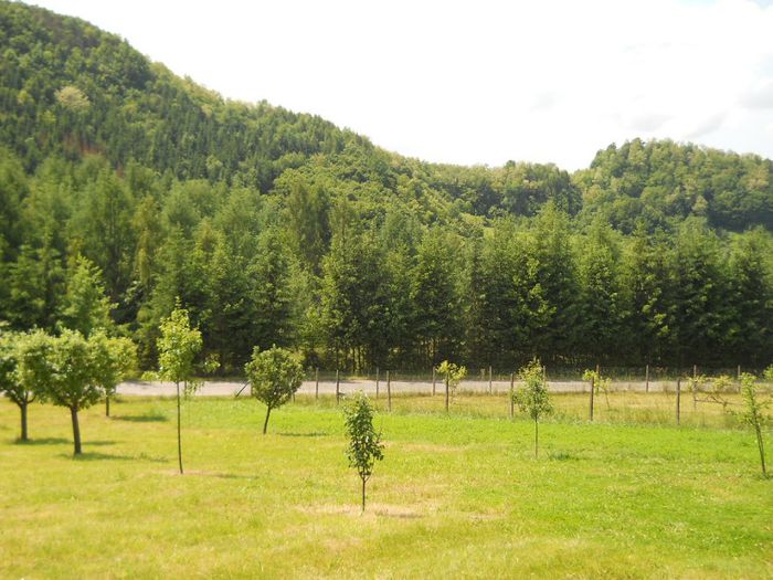 120 - Livada