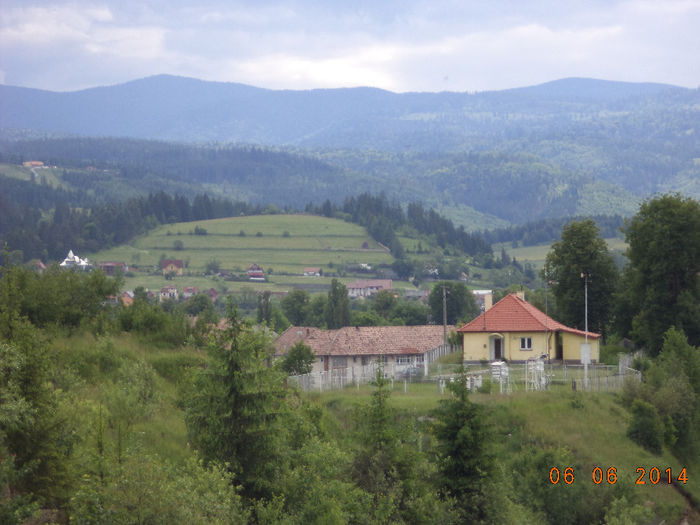 Statia Meteo si varful Batrana - Iezii Alpina Franceza si stramosul lor Capra aegagrus