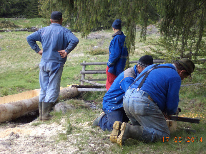 Muncim cu zor la troci - La facut de troci in Calimani