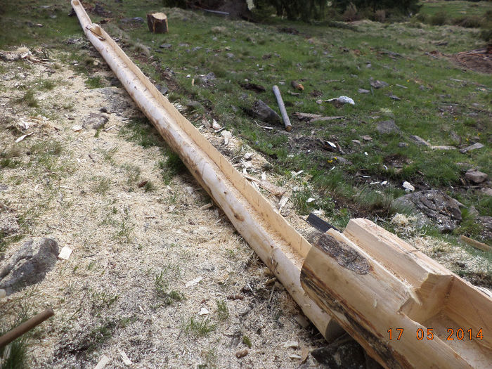 Trocile aproape gata-6