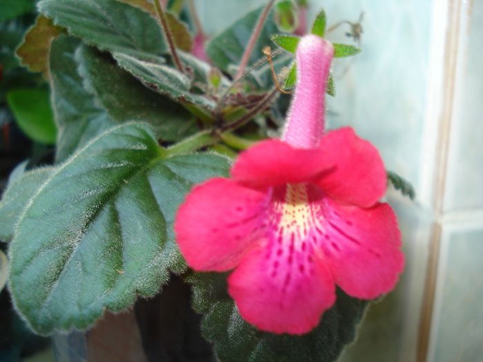 DSC09390
