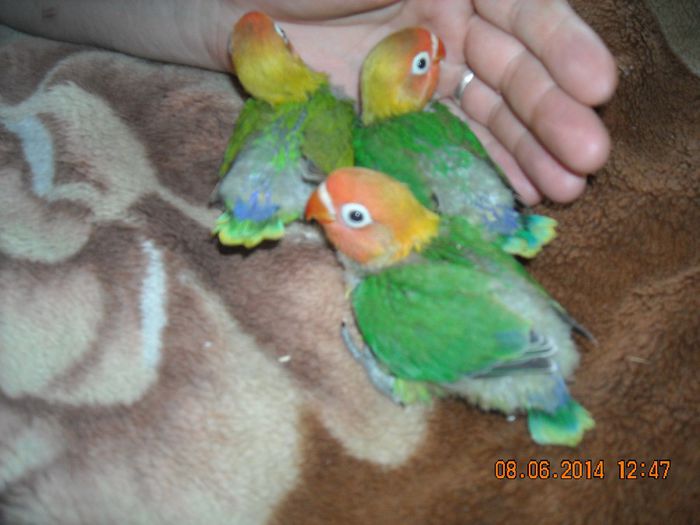DSCN0153