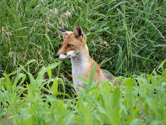 DSC00863