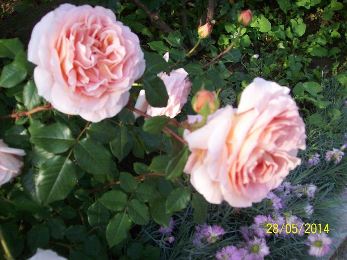 100_3991 - Abraham Darby