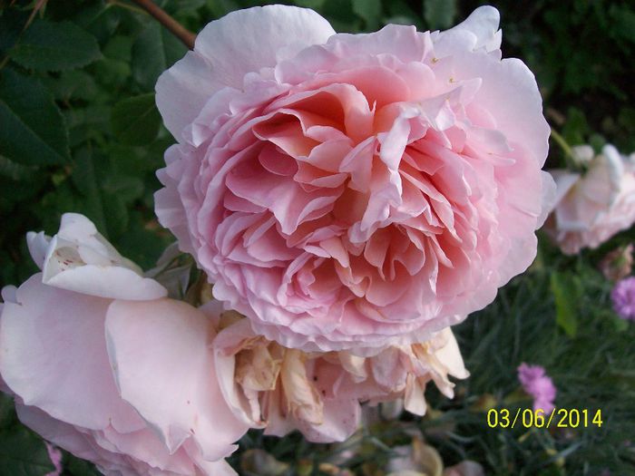 100_4339 - Abraham Darby