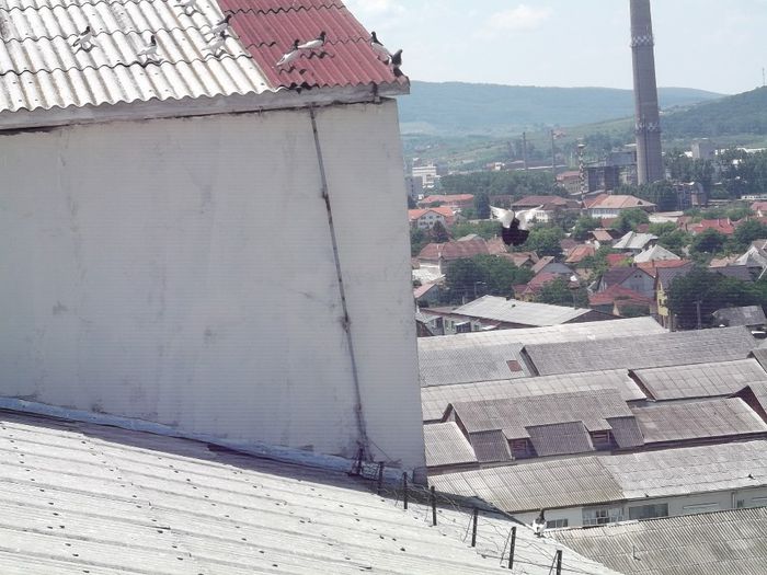 ATERIZARE RATATA