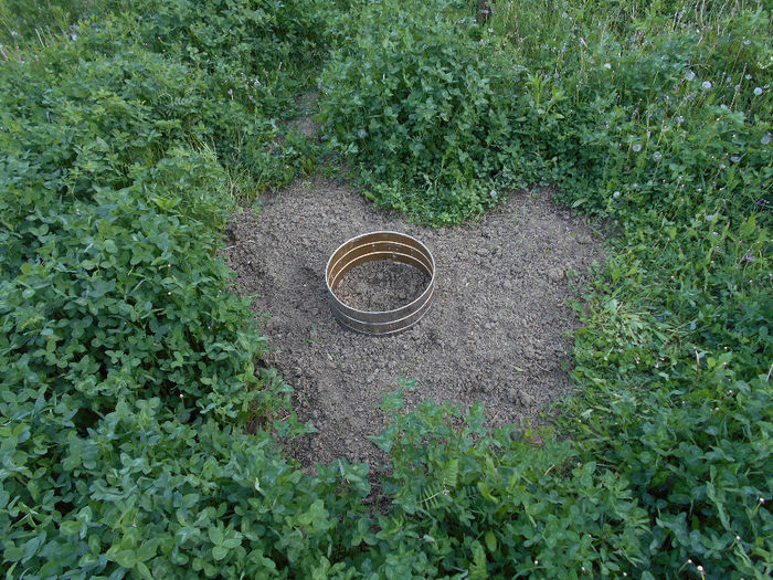 Inima (34) - Inima infloritoare