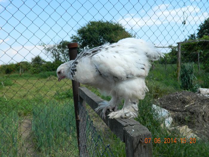 bhd; si zboooorrrrrr ;)
