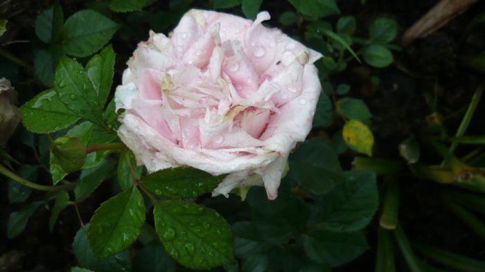 095