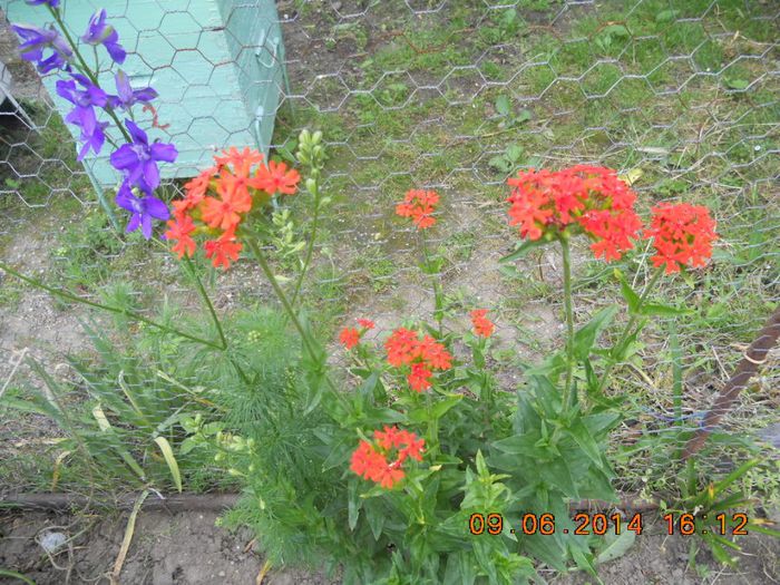 DSCN3078